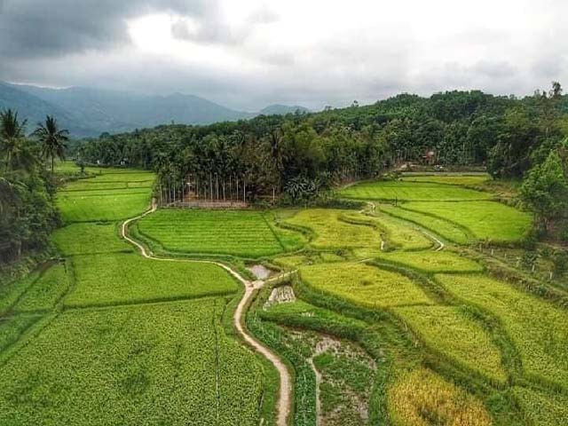 Làng cổ đẹp như tranh vẽ trên quê hương cụ Huỳnh Thúc Kháng hình ảnh 6 lang co dep nhu tranh ve tren que huong cu huynh thuc khang hinh anh 6
